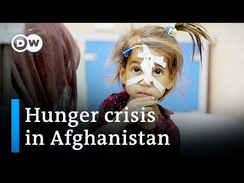 Afghanistan is facing a severe hunger crisis | DW News