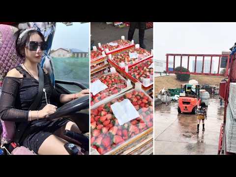 Female Truck Driver Anzong Real Workday, and Life Behind the Wheel