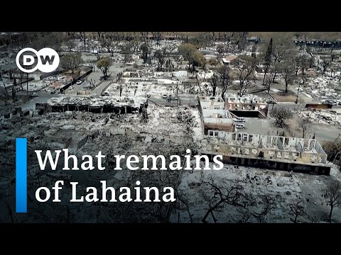 Death toll from Hawaii wildfires rises with hundreds still missing | DW News