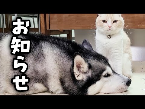みなさまに嬉しいお知らせが...