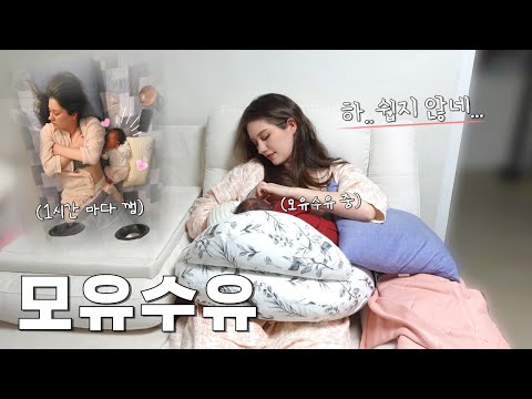 출산 후 4일 만에 퇴원해서 육아를 시작하면 생기는 일👶 육아는 현실이다🤱