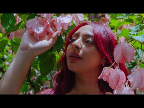 LALALA- Nedhaly (Official Video)