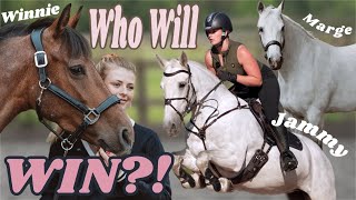 All My Horses Against Each Other!!