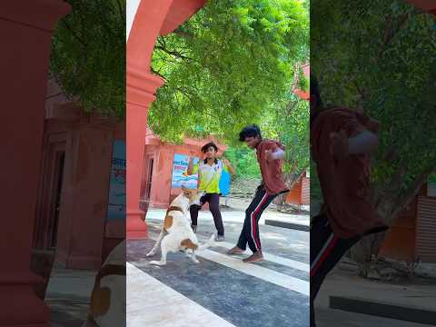 DOG🐶FRiENDSHIP🥹SPEAKS LOUDER THAN WORDS😭 #viraljump #talentedboystunt #dogapparel #funnyanimals
