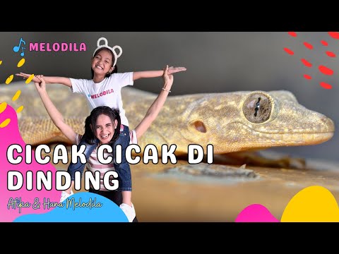 🔴 LAGU CICAK CICAK DI DINDING - Lagu Anak Balita | Lagu Anak Indonesia | Hana & Afika Melodila