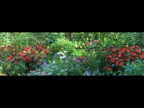 Gardening With Puppies Homestead Tour