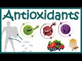 Antioxidants and Reactive Oxygen Species