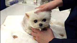 動画サムネイル