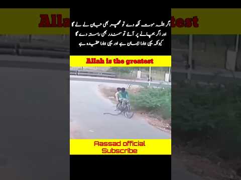 اگر اللہ موت لکھ دے تو مچھر بھی جان لے لے گا #allah #status #respect #allah