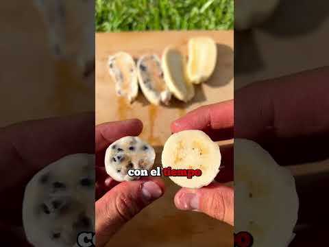 ¿plátanos con semillas grandes? 🍌🍌🌱🌱
