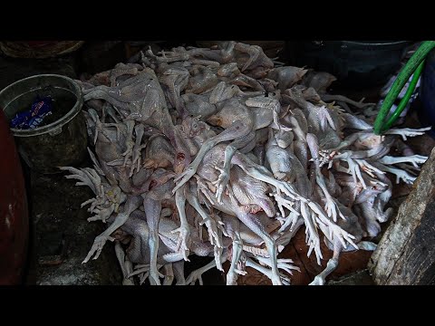 KALO IBU INI BELUM DATANG GAK ADA YANG MASAK, CUMA IBU INI YANG BISA MASAK 80 AYAM  DALAM 1 WAJAN