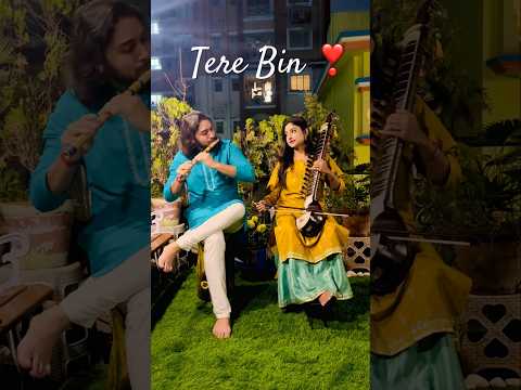 Tere Bin || Flute X Esraj || Ft. Shreetama #flute  #esraj #terebin #valentinesday