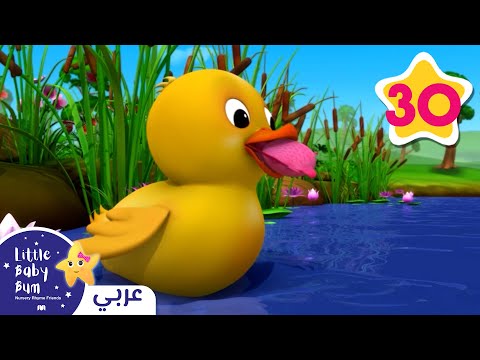 ست بطاطت صغيرة 🐤 | اغاني اطفال | ليتل بيبي بام