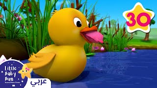 ست بطاطت صغيرة 🐤 | اغاني اطفال | ليتل بيبي بام