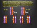 Genetic Recombination and Offspring Analysis