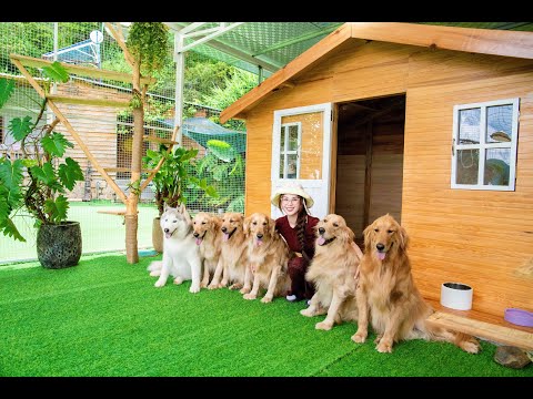 笑顔が止まらない！30匹以上の犬と猫の大家族ランチに密着
