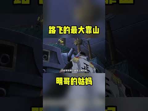 多弗朗明哥的姑媽路飛的最大靠山，阿鶴是對抗羅傑團的主力 #海賊王