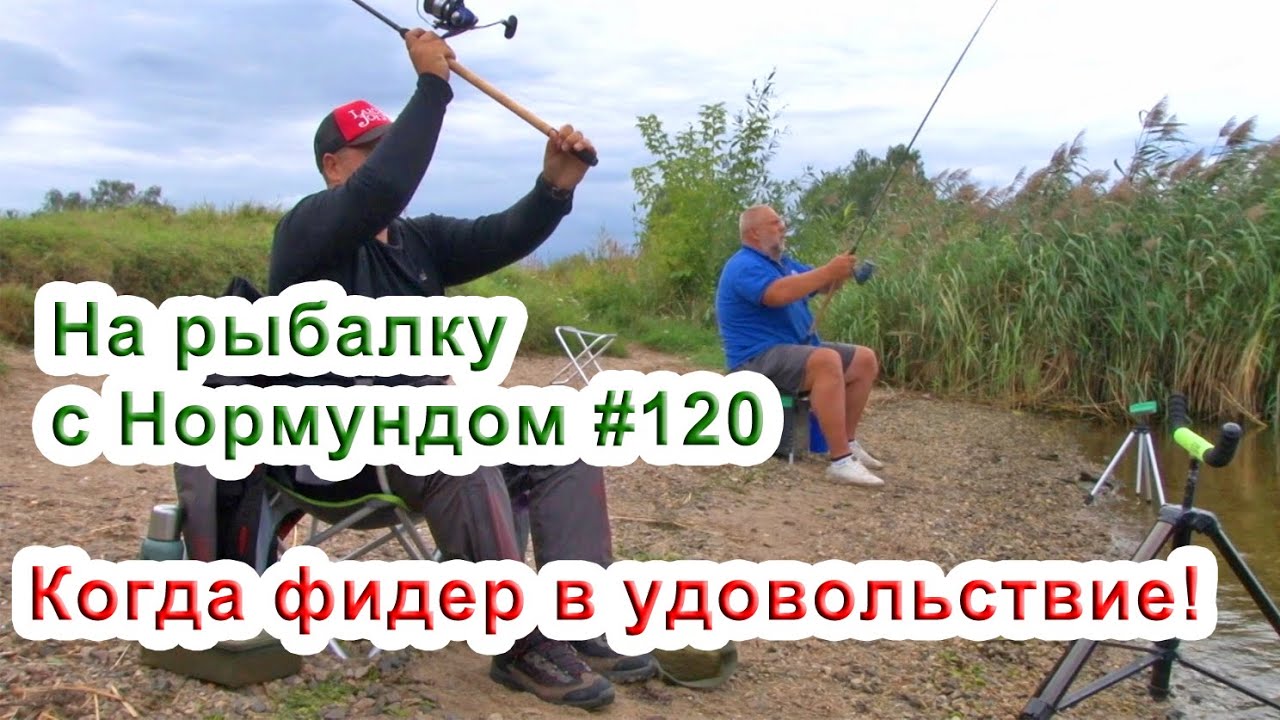 Когда фидер в удовольствие! На рыбалку с Нормундом #120