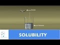 Solubility Principles and Gas Laws