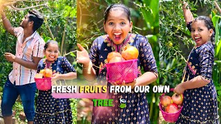 Jo Maaza Ghar Ke Anar Mein Hai ! Wo Market Mein Kaha 🍎😋