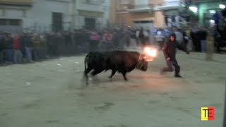 TOROS EN  CASTELLNOVO SAN ANTON 2013