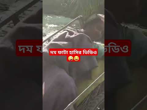 দম ফাটা হাসির ভিডিও 🤪😂 #shortvideo #funny #comedy