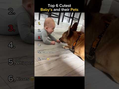 Ranking the Cutest Baby’s and Pets