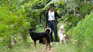 Back to Farm Life: Simple Taro Soup & Grilled Wild Rat