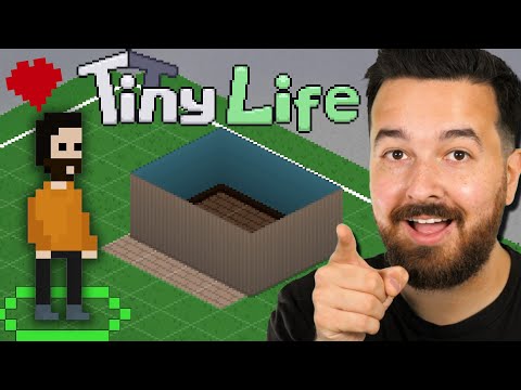Let's play Tiny Life!