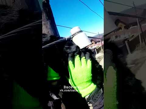 Застрял