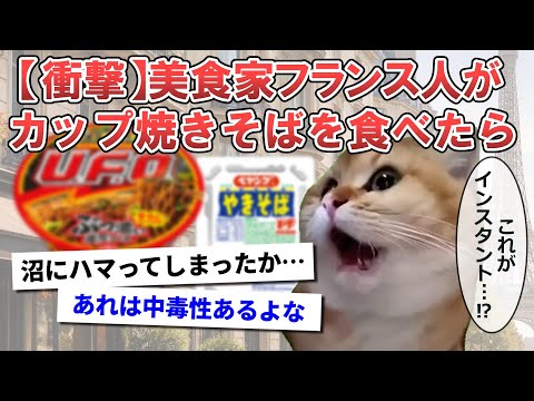 【猫ミームで解説】「インスタントなんて美味いわけがない!」高級フレンチ好きのフランス人が激安カップ焼きそばを実食→衝撃の反応がこちらww#海外の反応