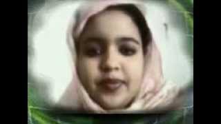 اكبر حوبارات في موريتانيا - YouTube