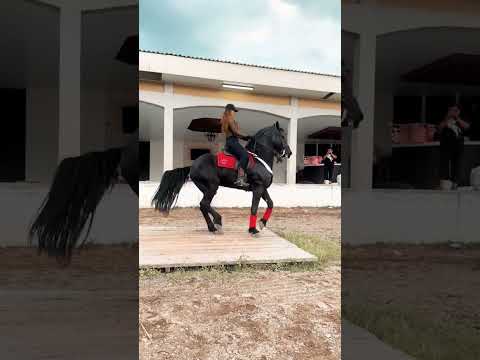 Potra #viral #caballos