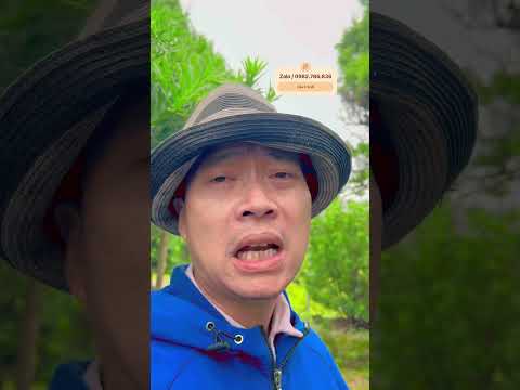 Chơi cây mà tự làm được sẽ không còn áp lực