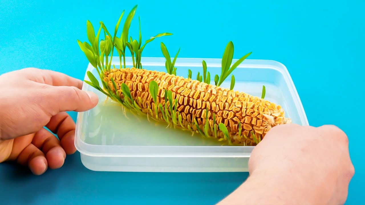 How To Grow Fruit & Vegetables At Home - No Garden Necessary! - Cleverly
