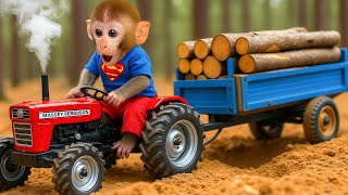Monyet Bon Bon Mengemudi Traktor ke Hutan & Membangun Rumah untuk Anak Bebek 🐵🚜🦆🏡