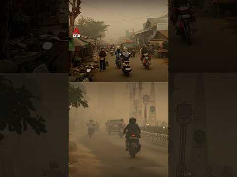 Haze thickens in Kalimantan as wildfires rage on