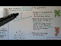 Transformational Geometry and Reflections