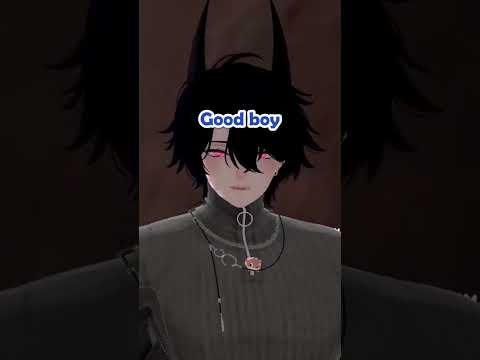 Good boy