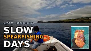 Slow spearfishing days