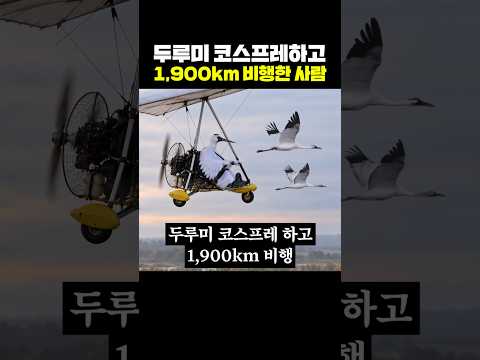<strong>두루미</strong> 코스프레하고 1,900km 비행한 사람