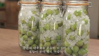 과일청 매실청 매실장아찌 만드세요. 너무 맛있어요. ^^