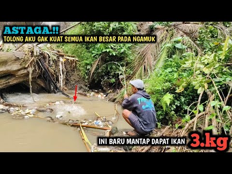 YA AMPUN.!! MANCING SAAT HUJAN GERIMIS YANG NYAMBAR IKAN BESAR BESAR SEMUA STRIKE SAMPAI LEMES