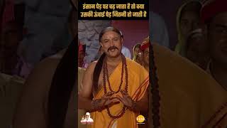 इंसान पेड़ पर चढ़ जाता है तो क्या उसकी ऊंचाई पेड़ जितनी हो जाती है | Sai Vichar