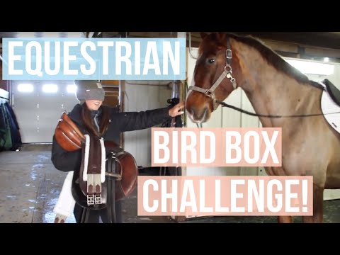 EQUESTRIAN BIRD BOX CHALLENGE | Equestrian Prep