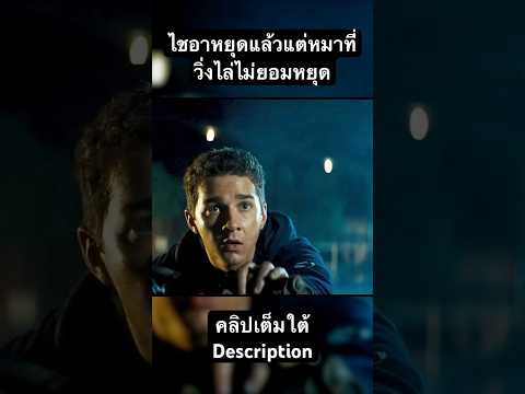 ไชอาหยุดแล้วแต่หมาไม่หยุด | Transformers