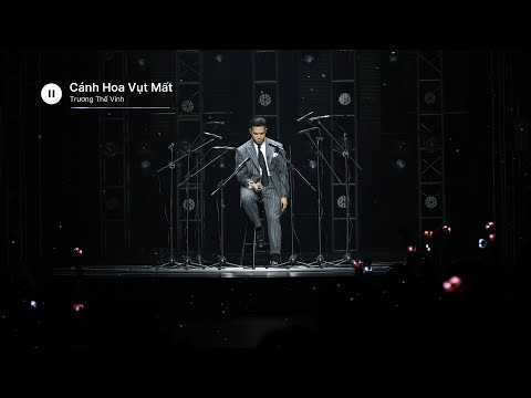Cánh Hoa Vụt Mất | Trương Thế Vinh | Official Lyric Video
