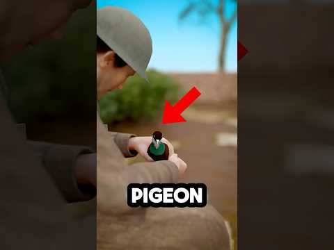 Saved By A Pigeon #shorts #viral