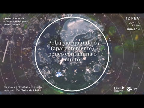 Webinar: Poluição: quando o (aparentemente) pouco contamina o muito