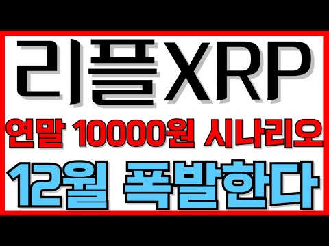 리플 XRP 연말 10000원 시나리오 12월 폭발한다 sec 리플전망2025 리플XRP실시간 리플코인실시간 리플코인목표가 리플코인전망실시간 리플XRP코인 트럼프 ripple